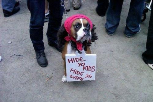 Hide yo kids, hide yo wife!